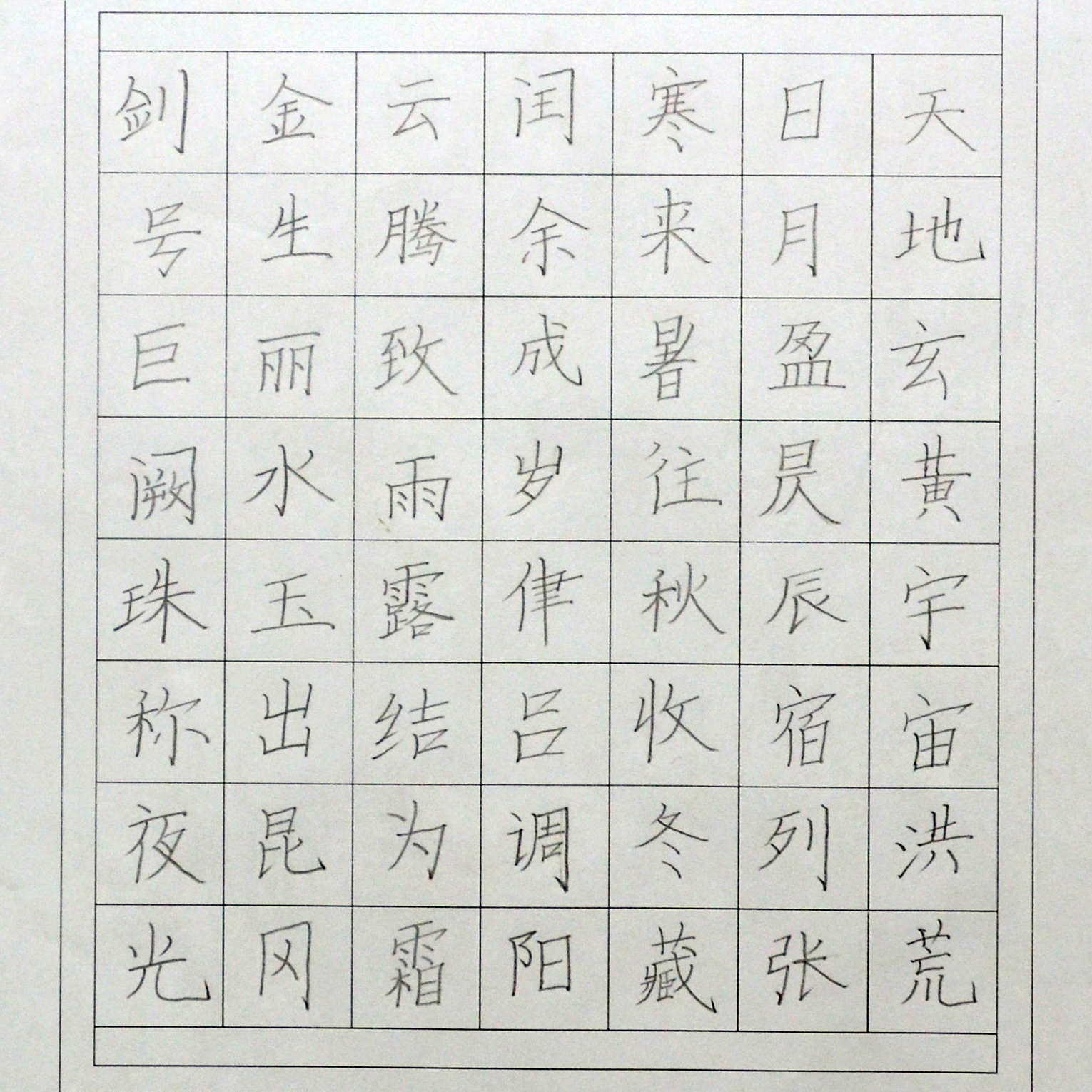 姓名：高梓瑜