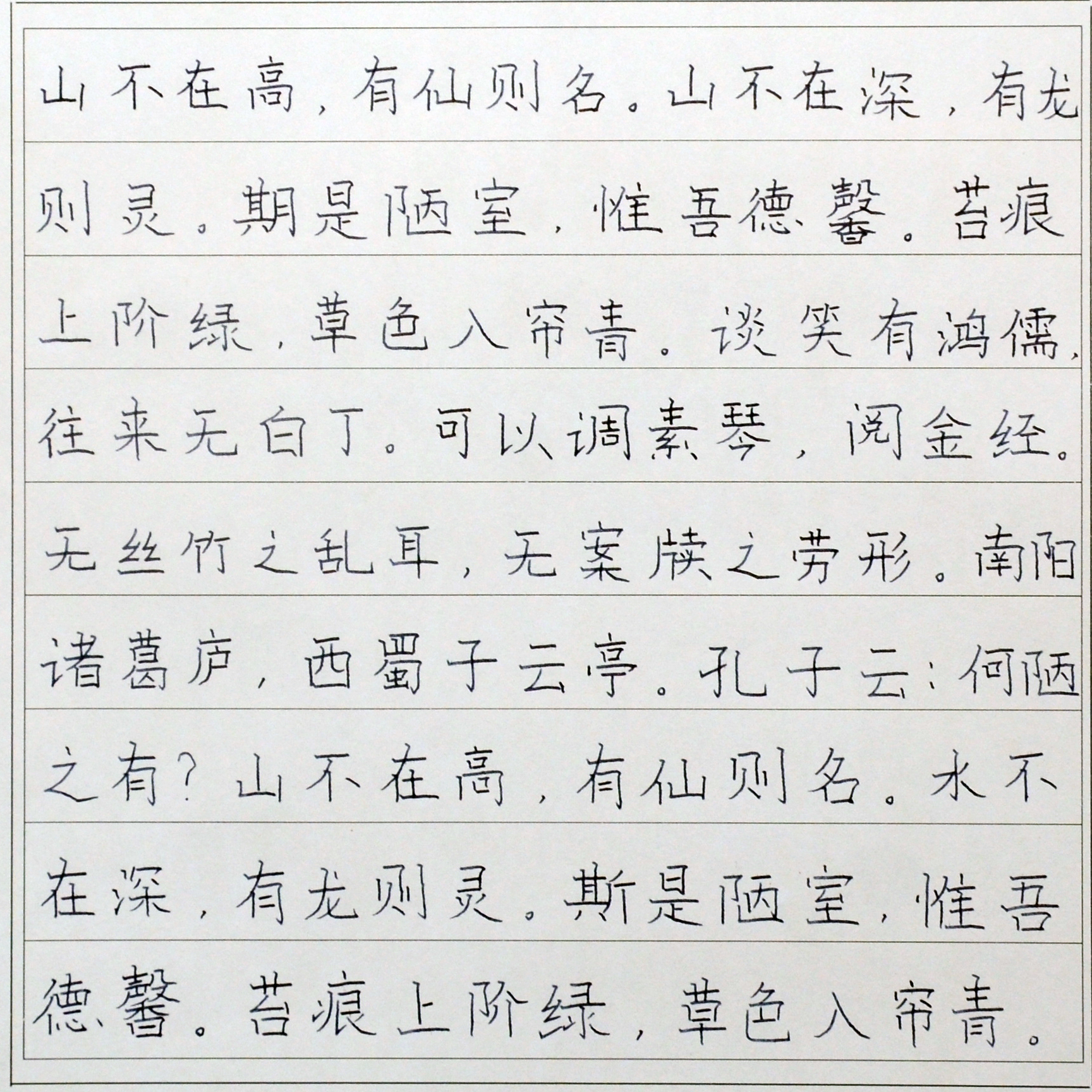 姓名：杨小申