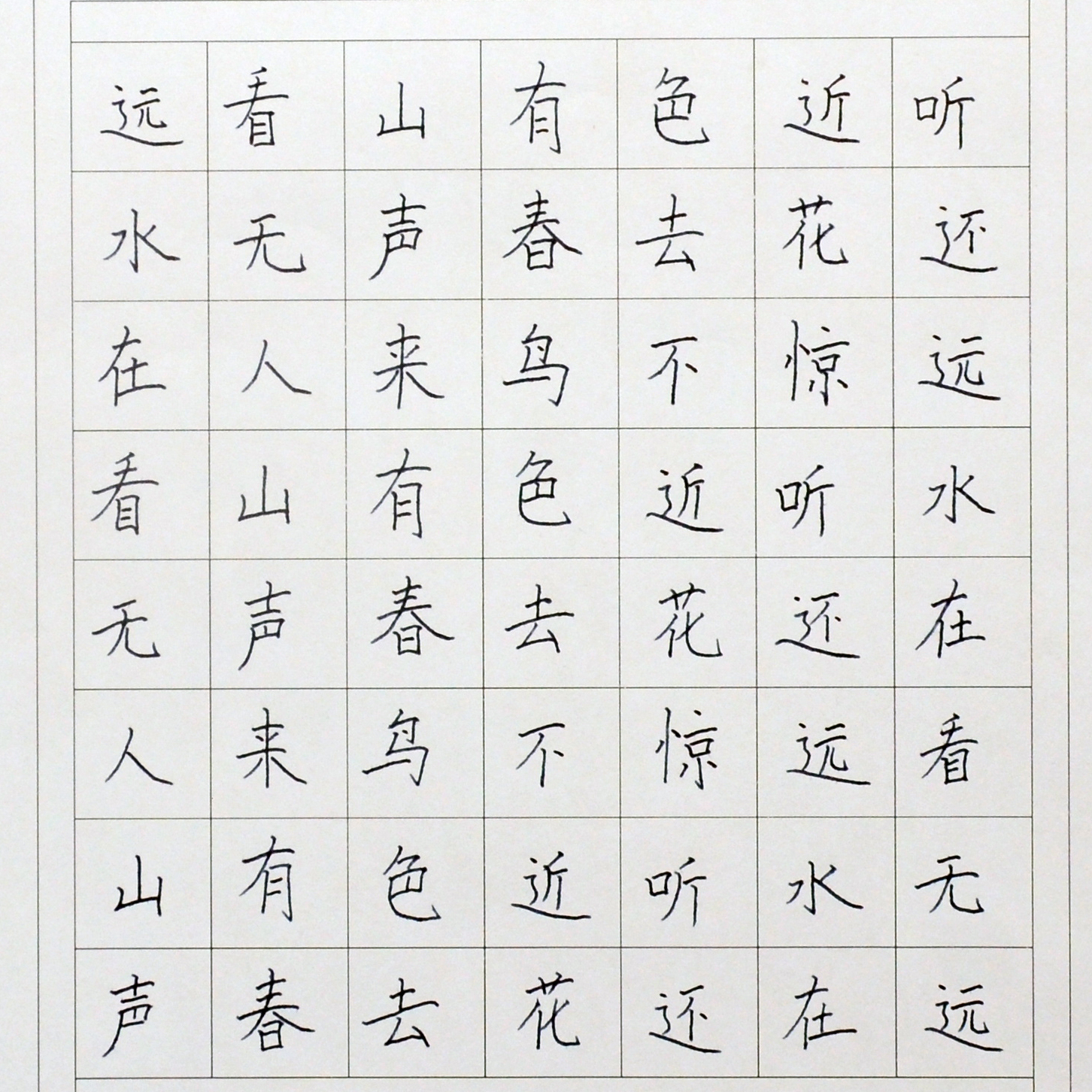 姓名：王子丹