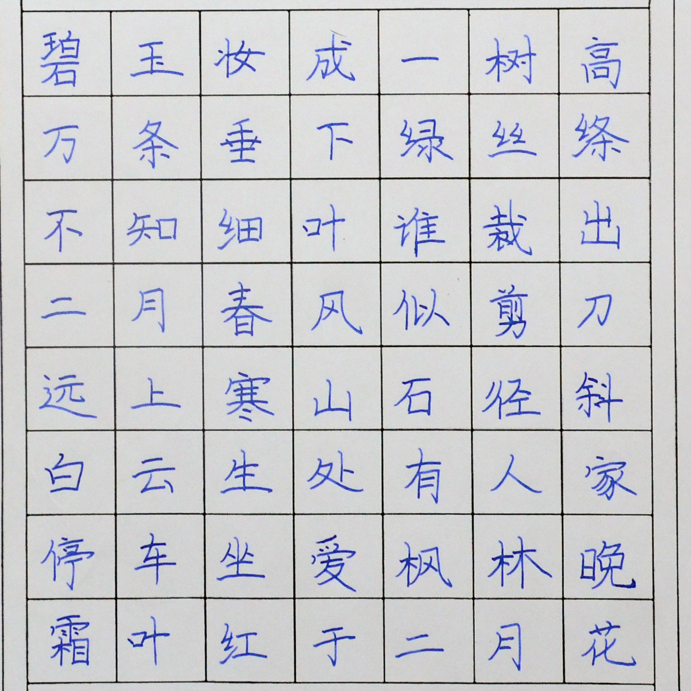 姓名：赵晴鹤