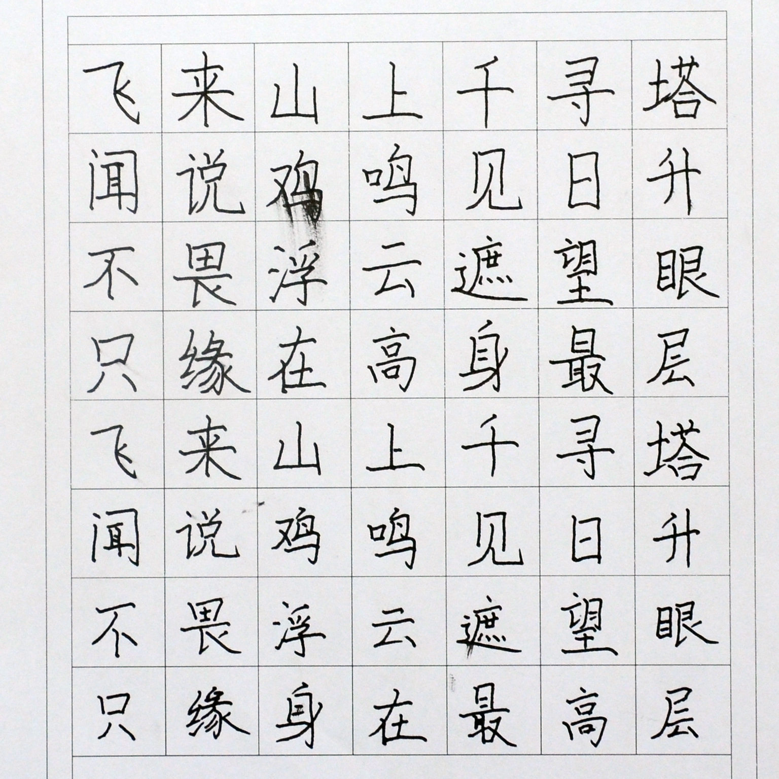 姓名：单梓莹