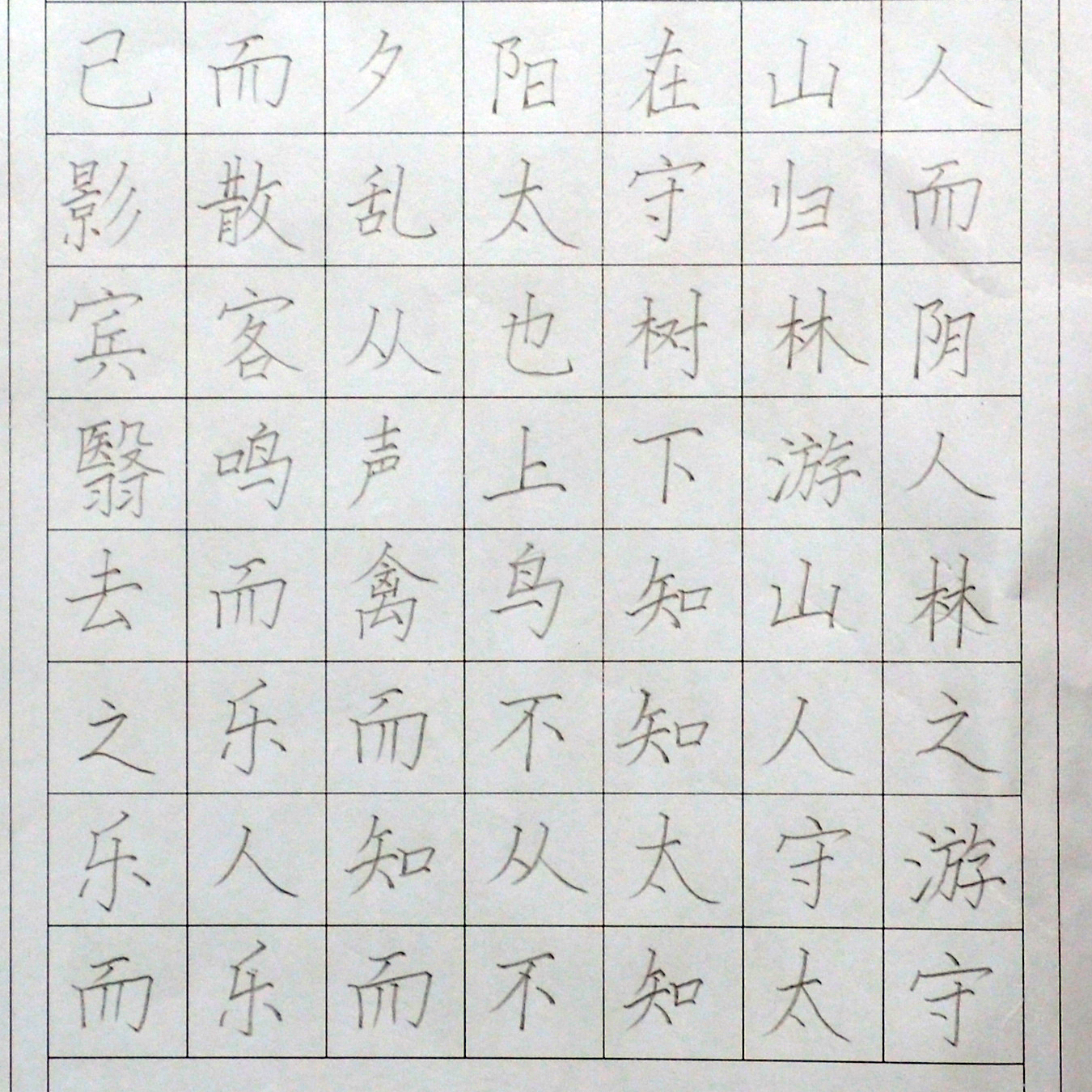 姓名：王珺羽