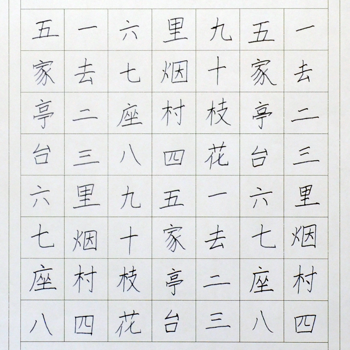 姓名：张耀龙