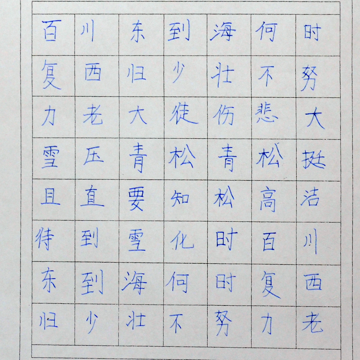 姓名：张馨月
