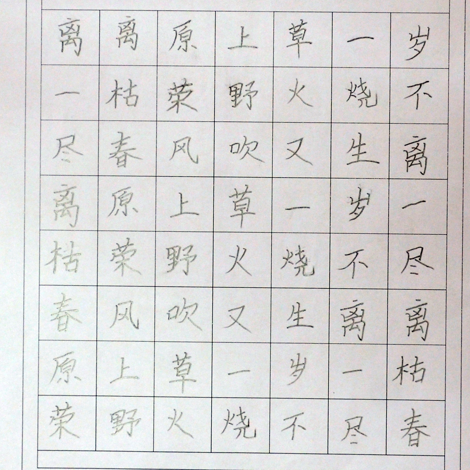 姓名：卢庚辰