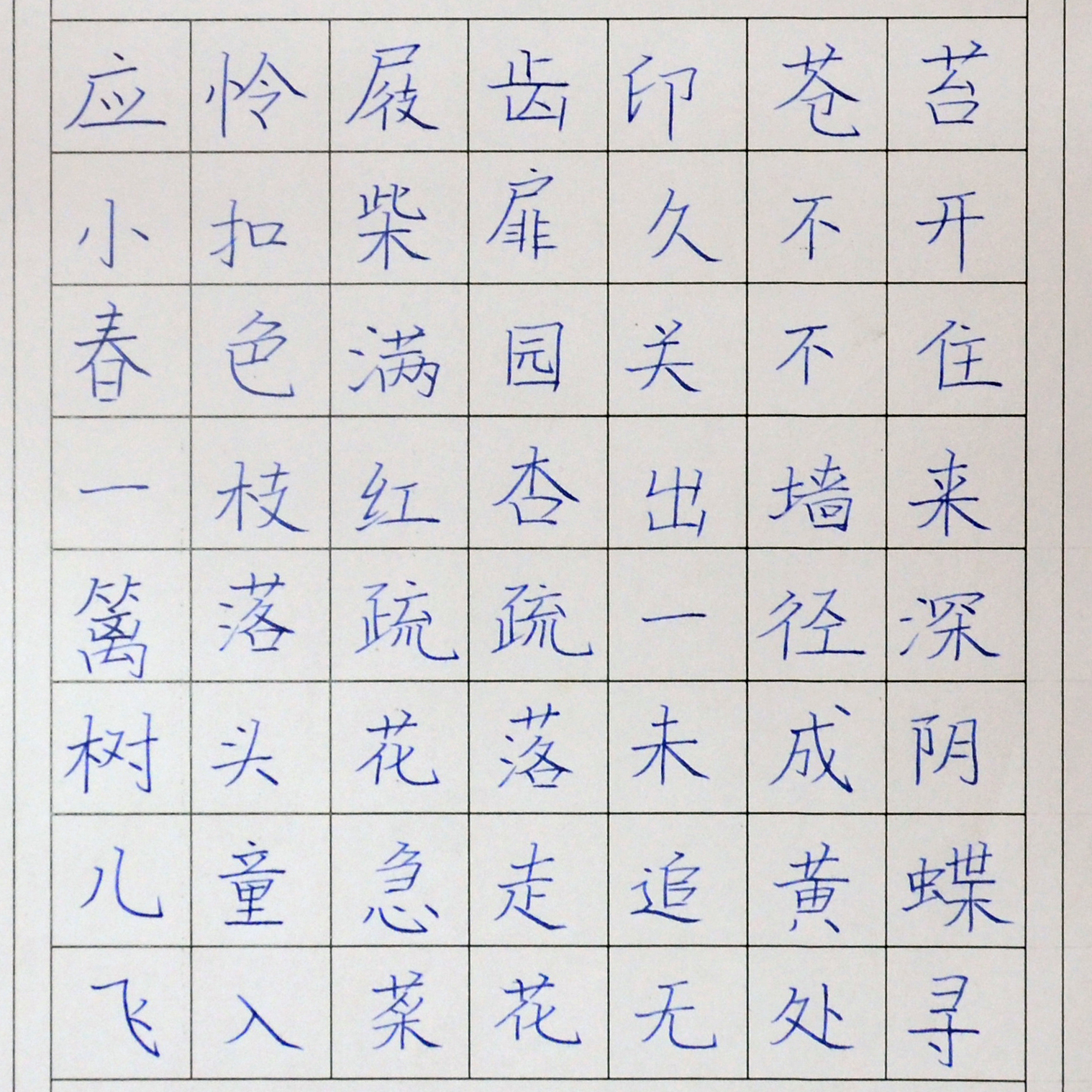 姓名：王诗涵