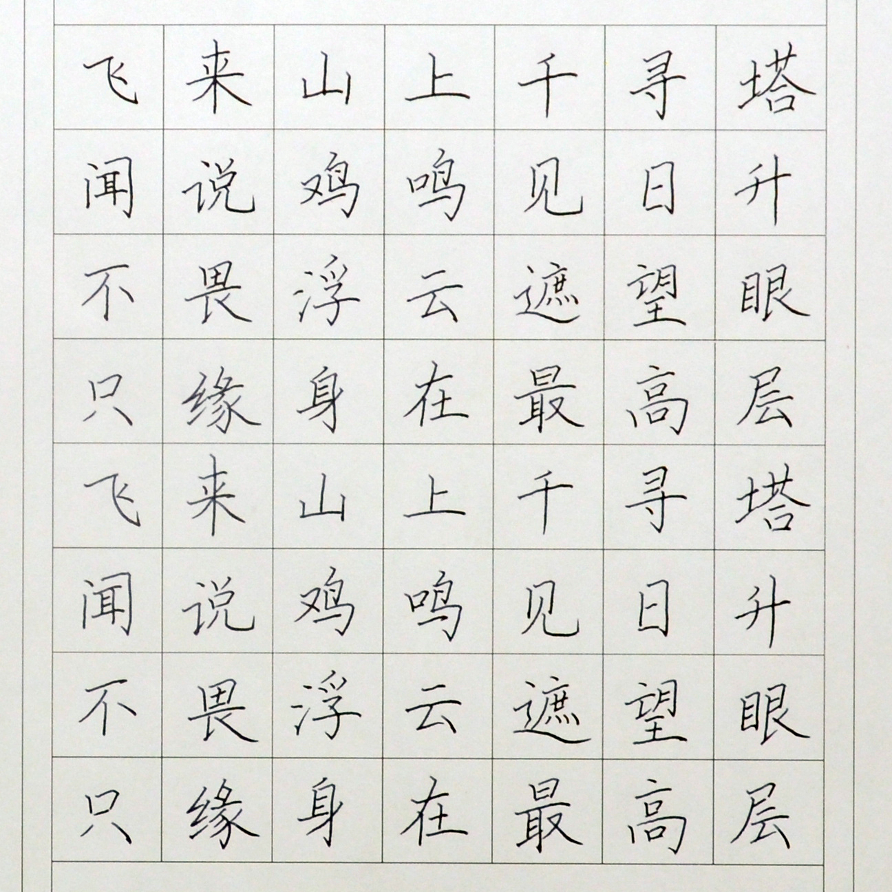 姓名：杨琛琛