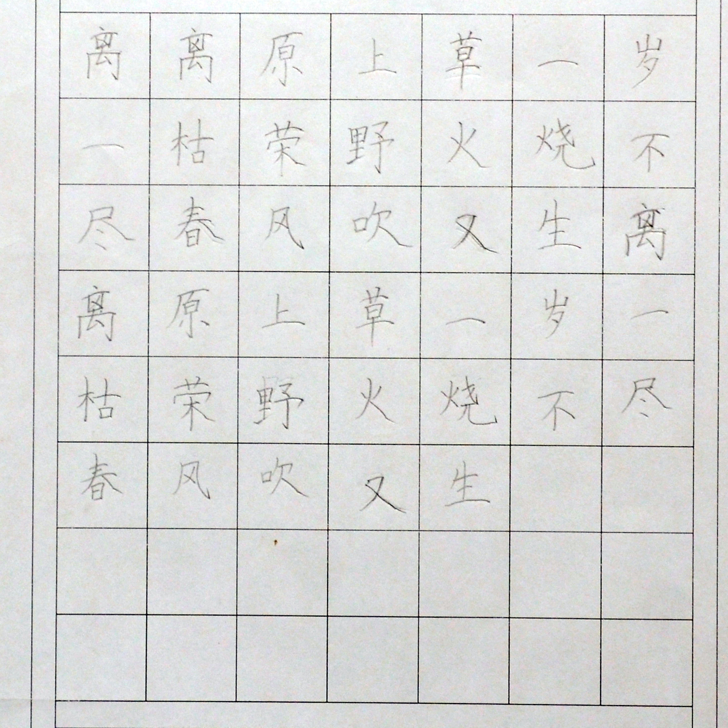 姓名：乔悦宁