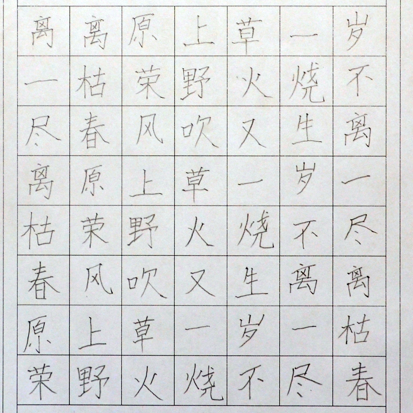 姓名：顾子沐