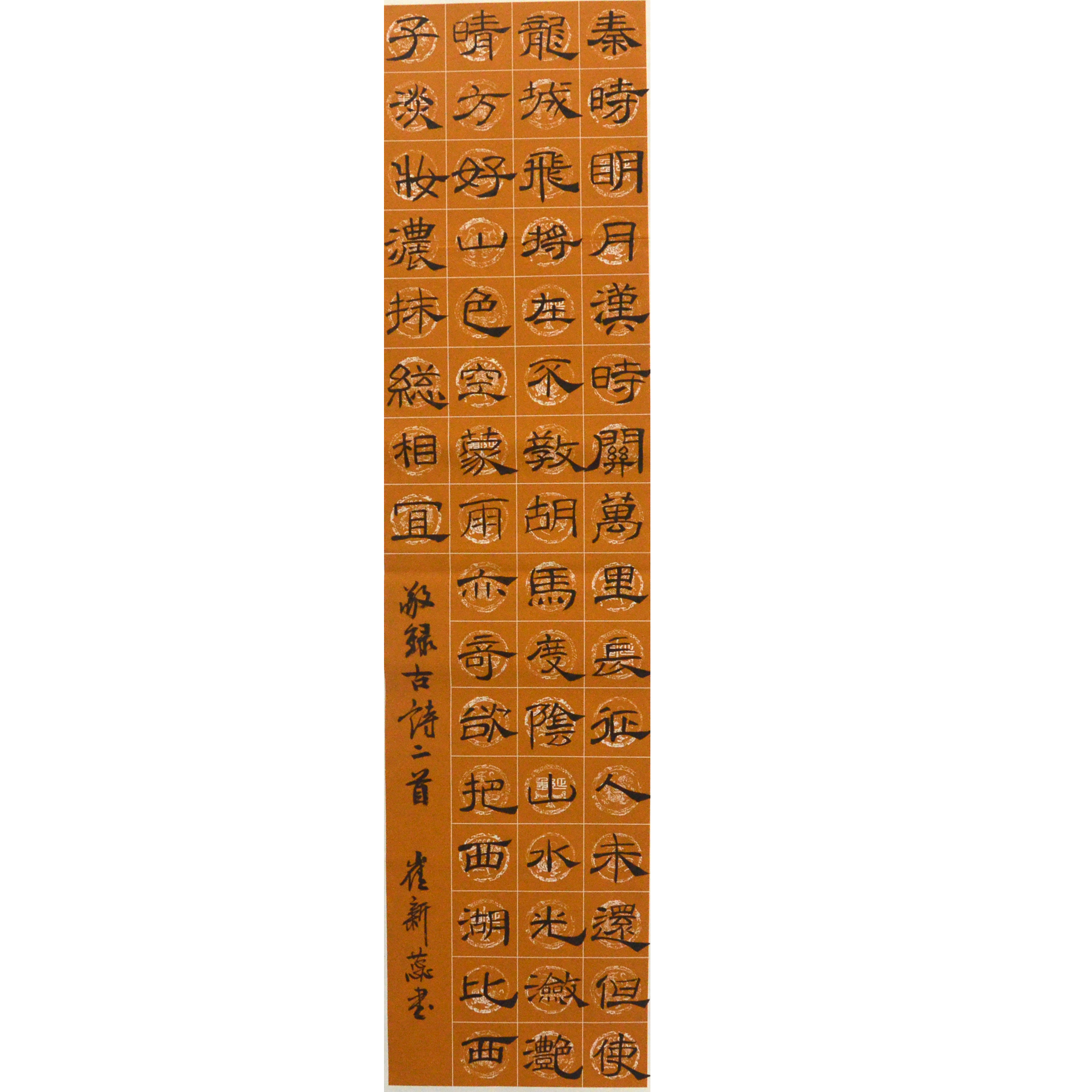 姓名：崔新蕊