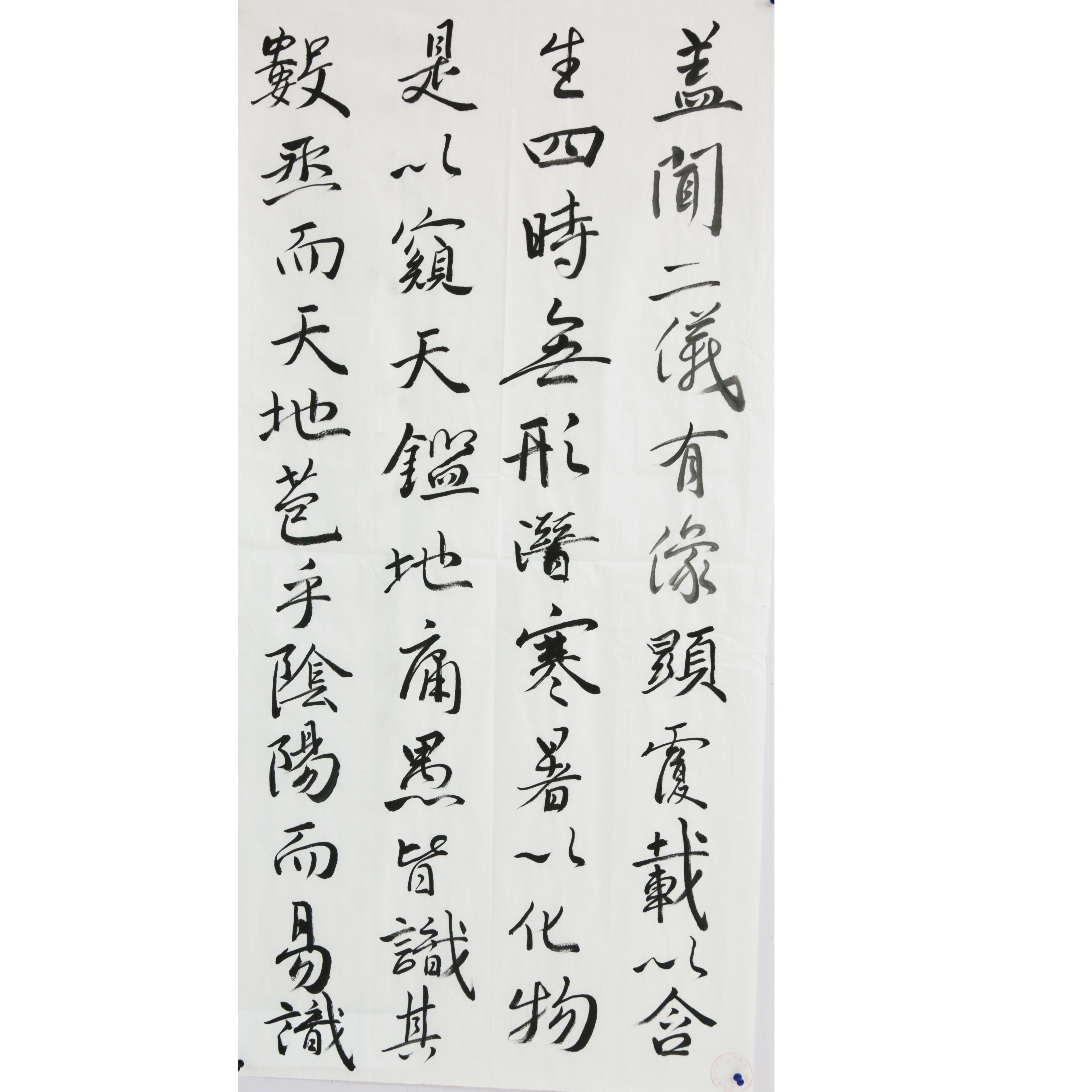 姓名：庄苏杨