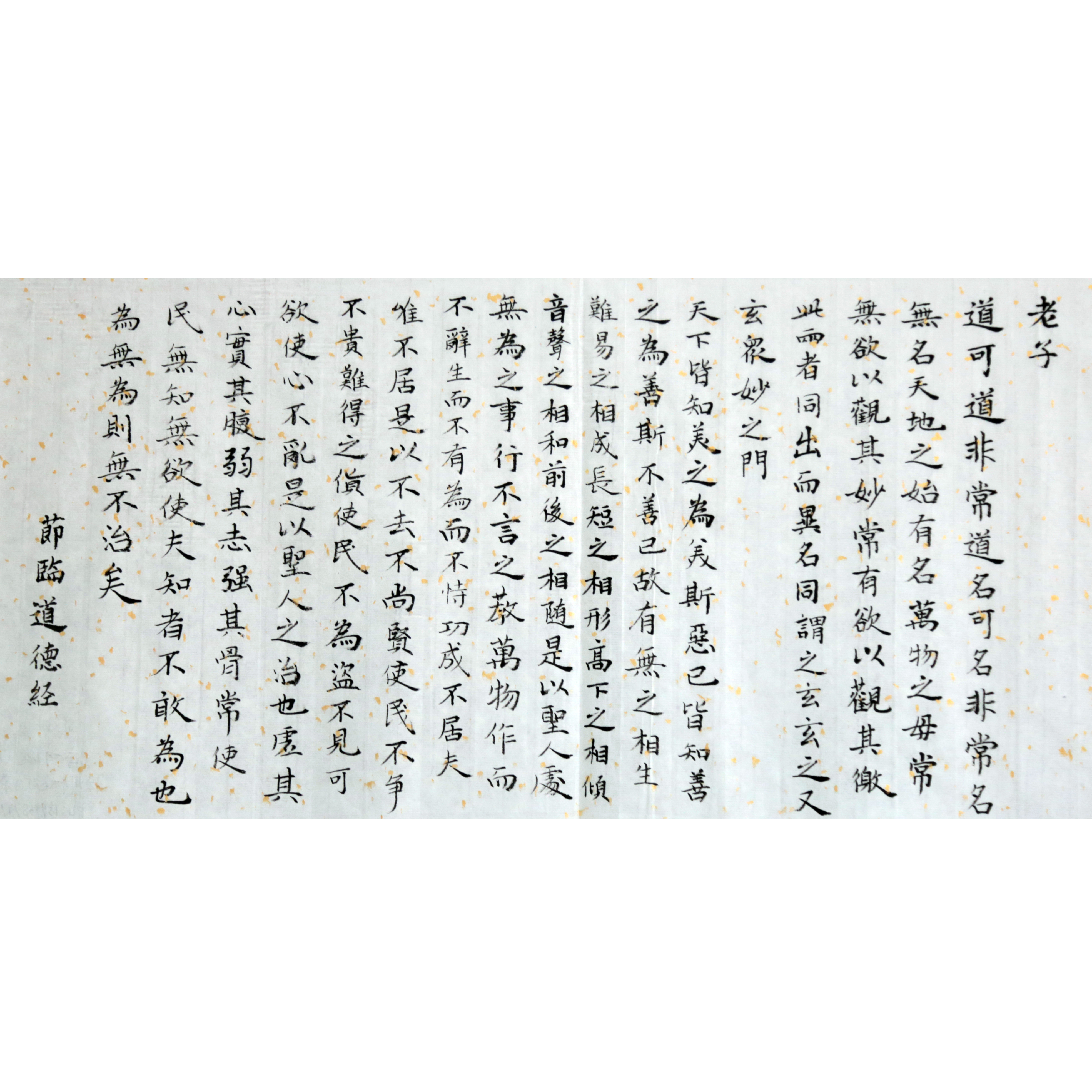 姓名：李柯璇