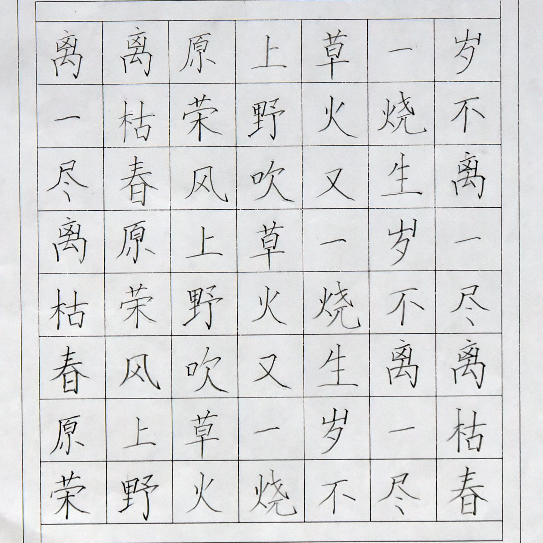 姓名：陆子涵