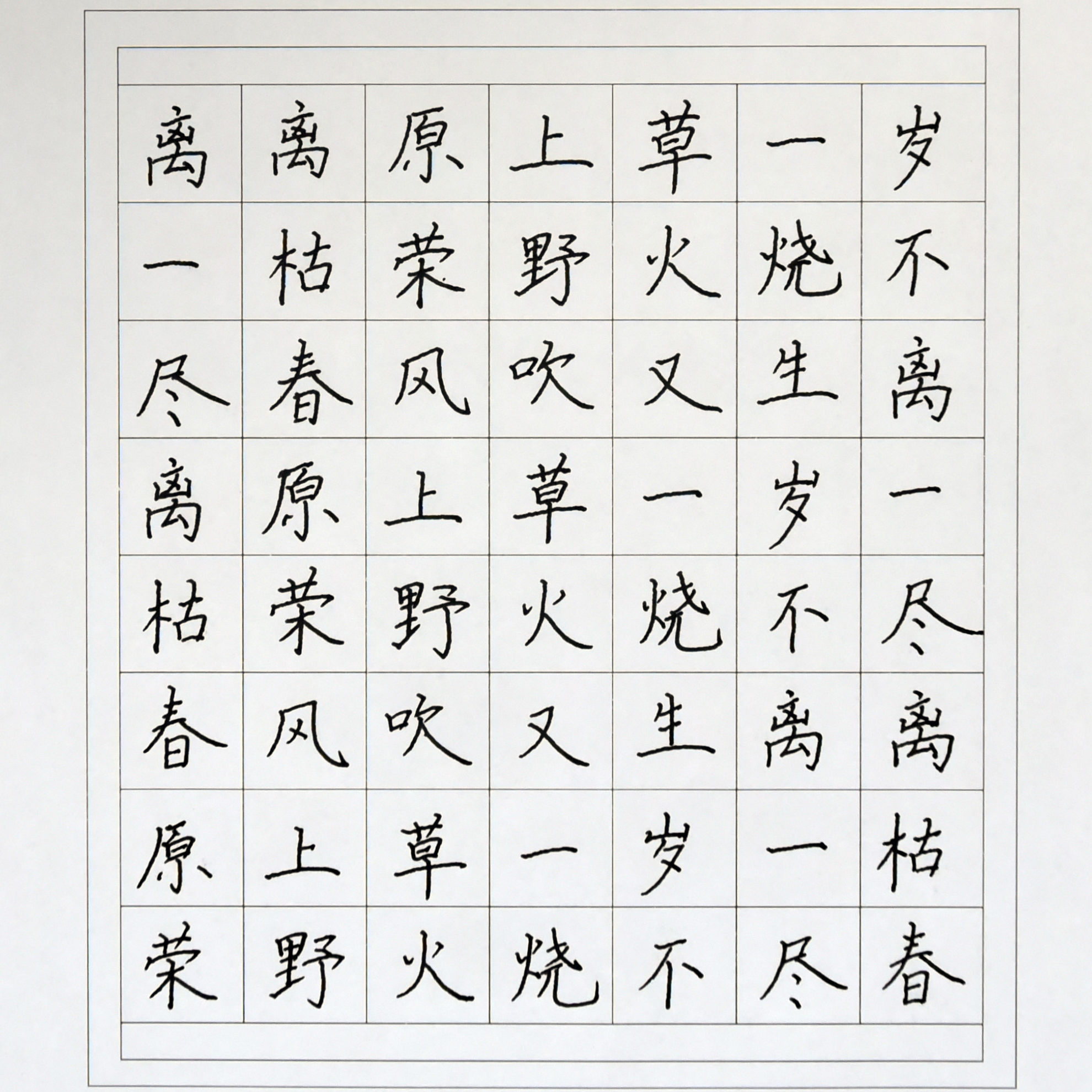 姓名：汪晶晶
