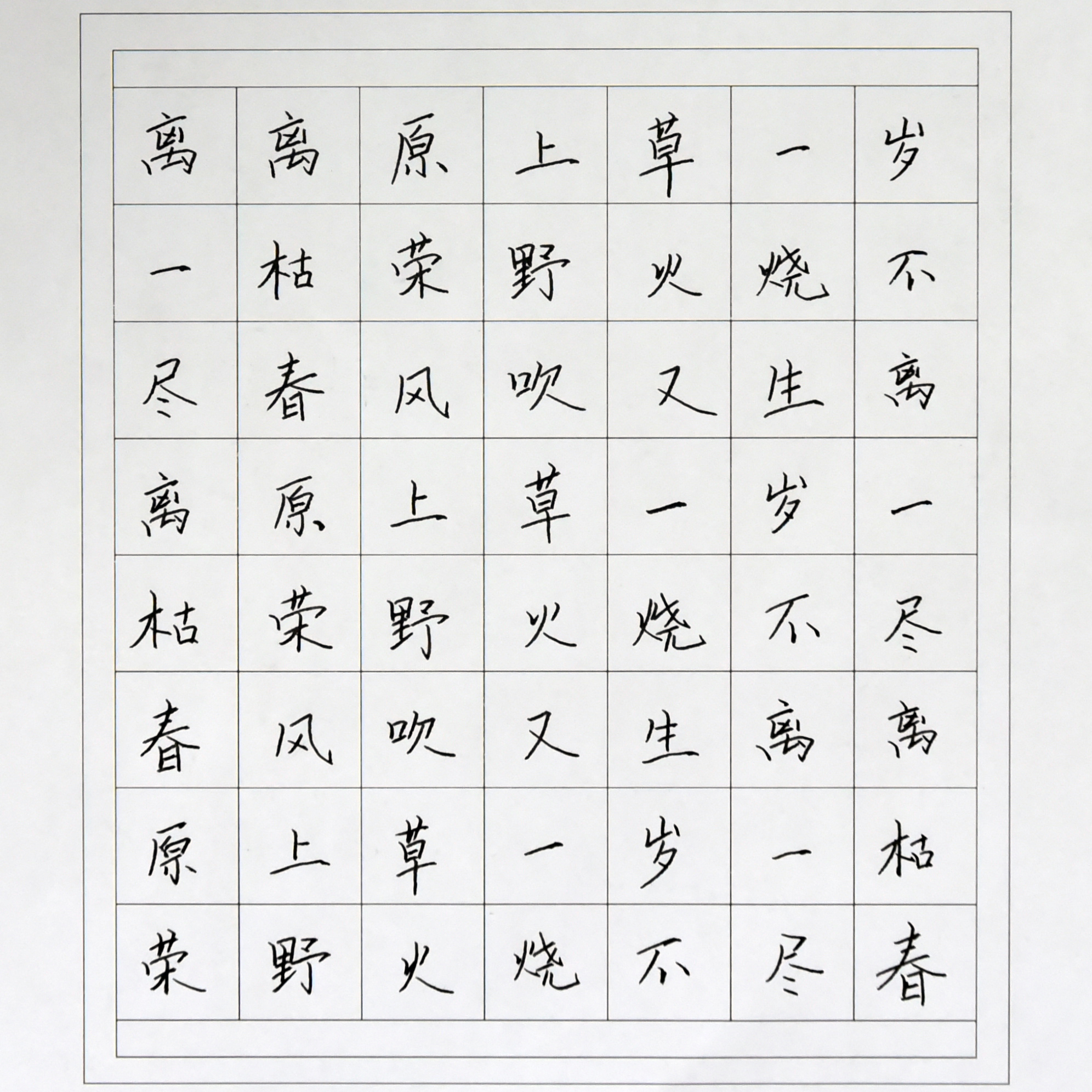 姓名：朱玉娇