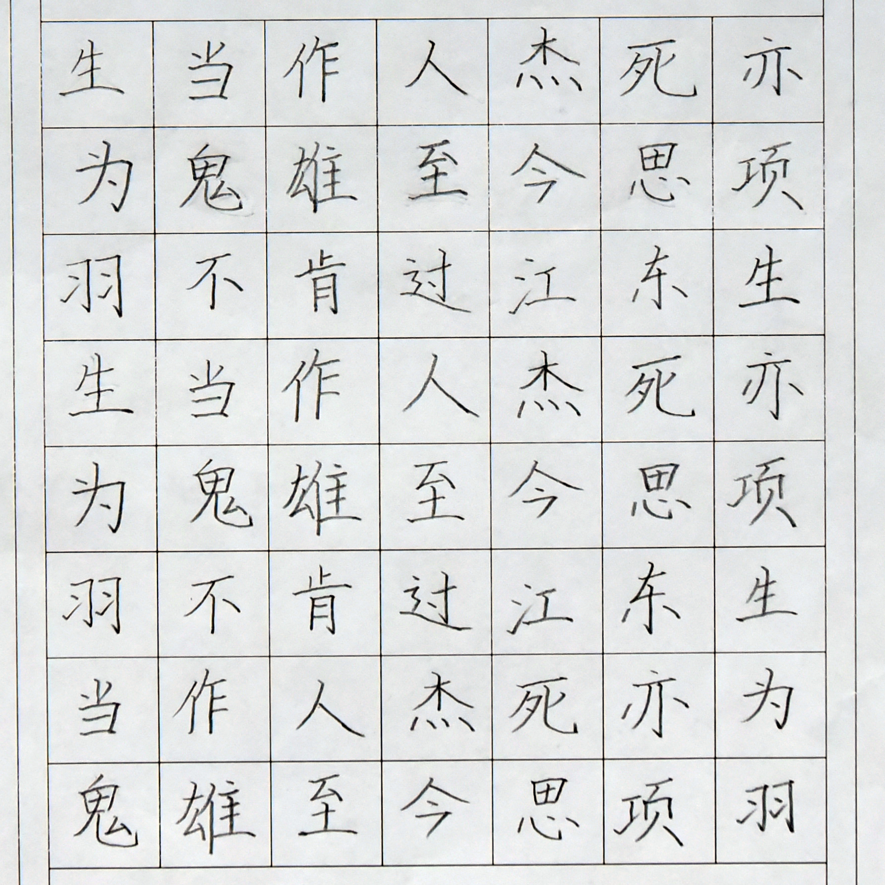 姓名：王静菡