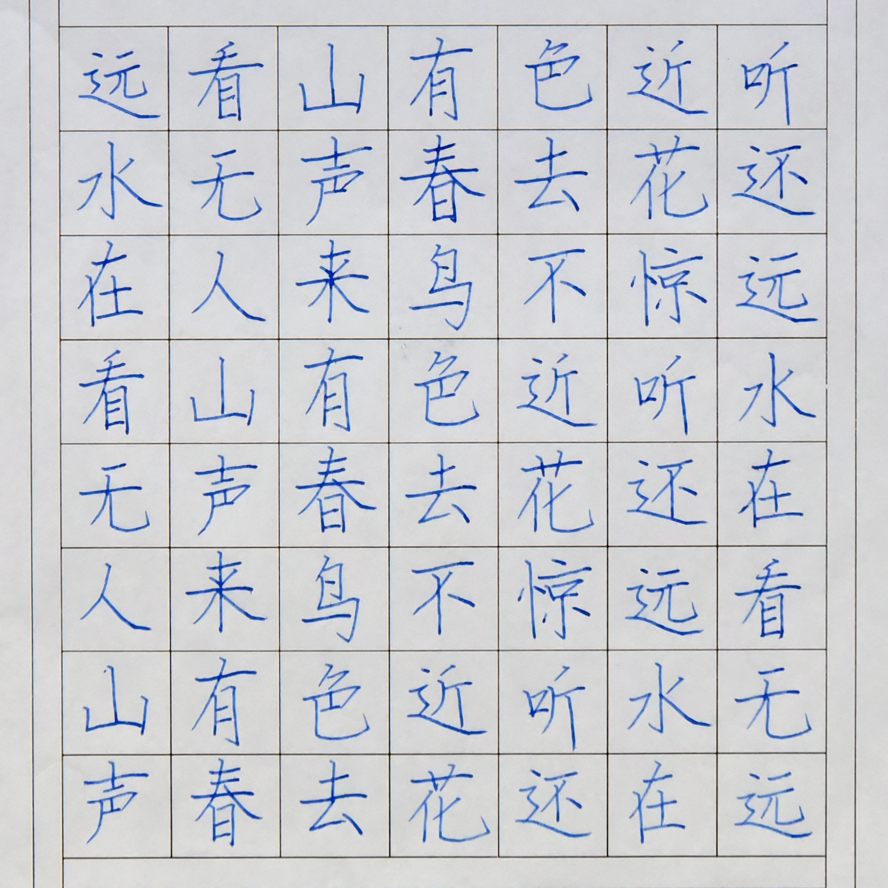 姓名：杜舟启