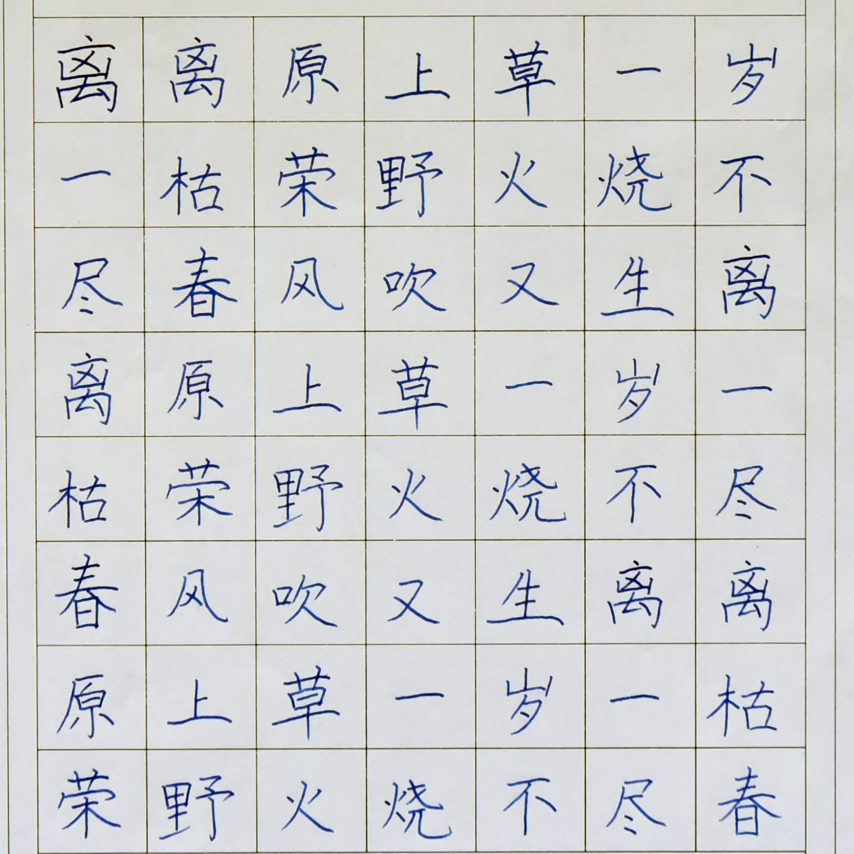 姓名：洪嘉雯