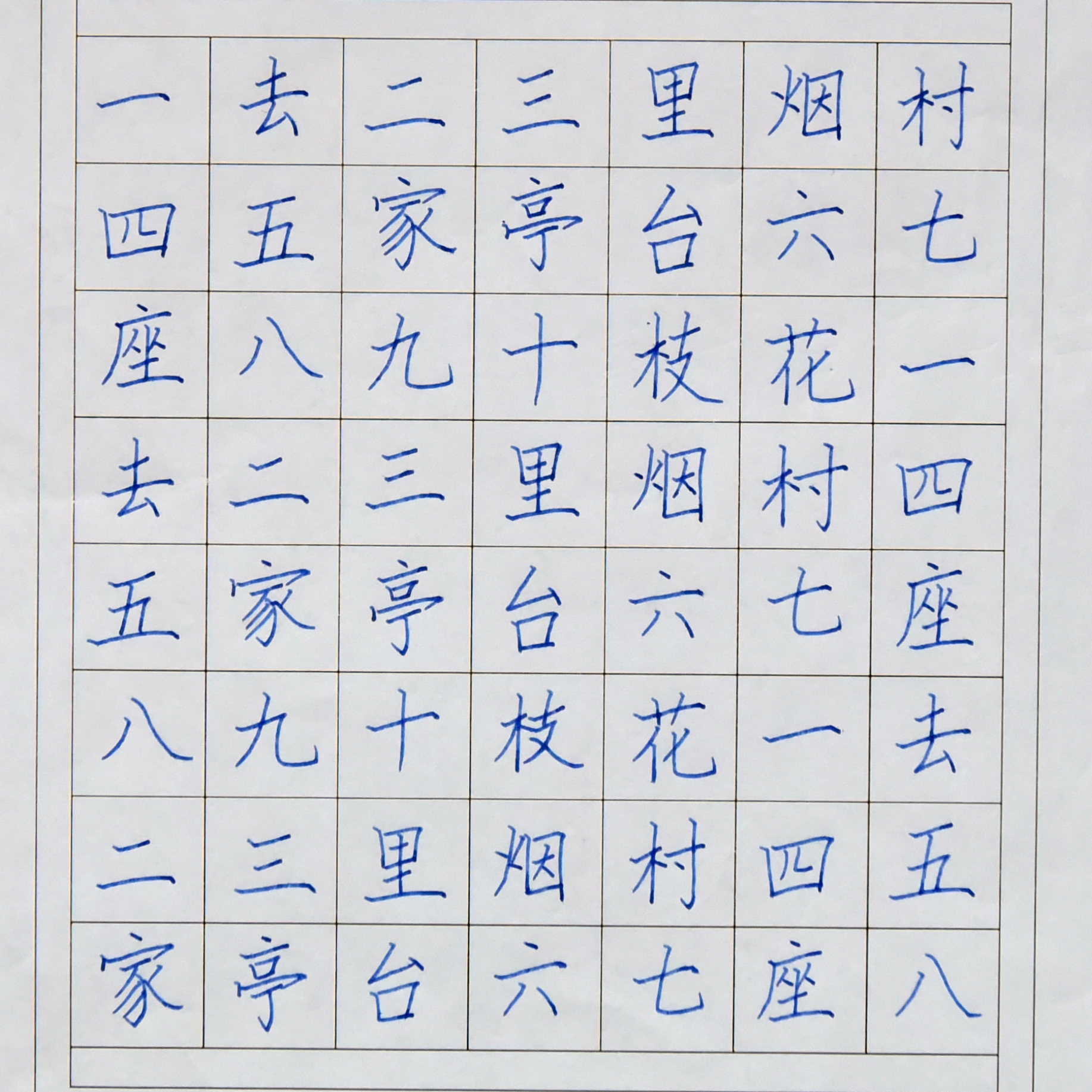 姓名：沈思洋