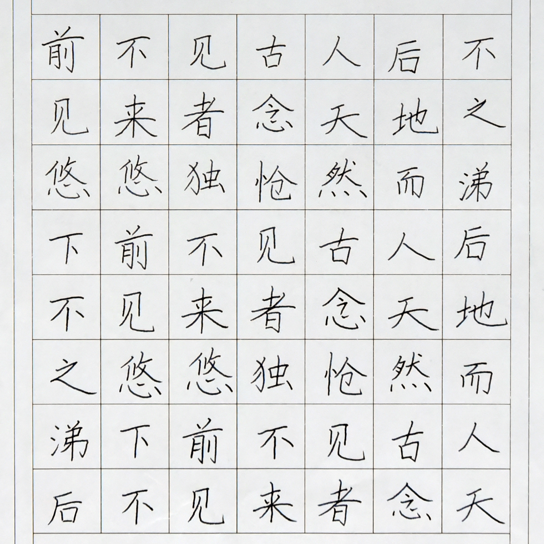 姓名：陈欣楠