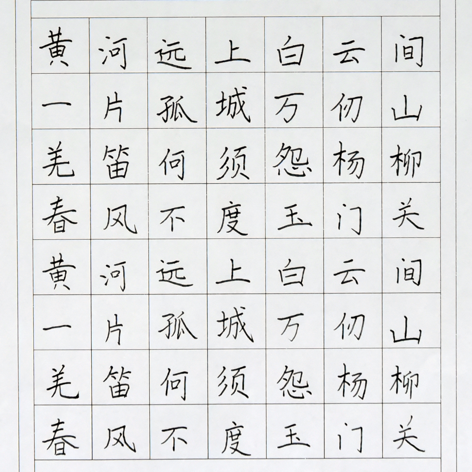 姓名：杨芷玙