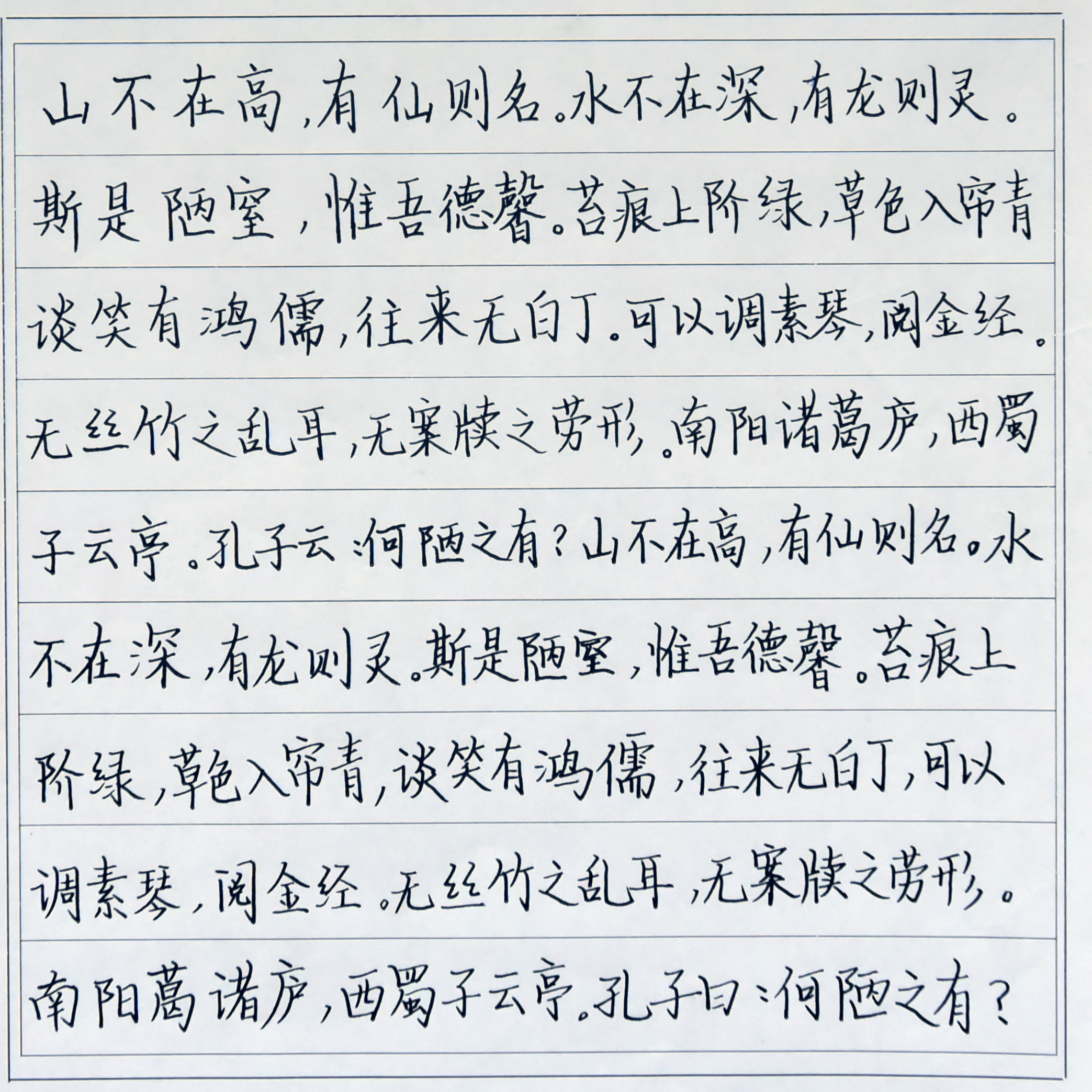 姓名：樊玥阳