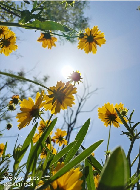 桃花源湿地公园