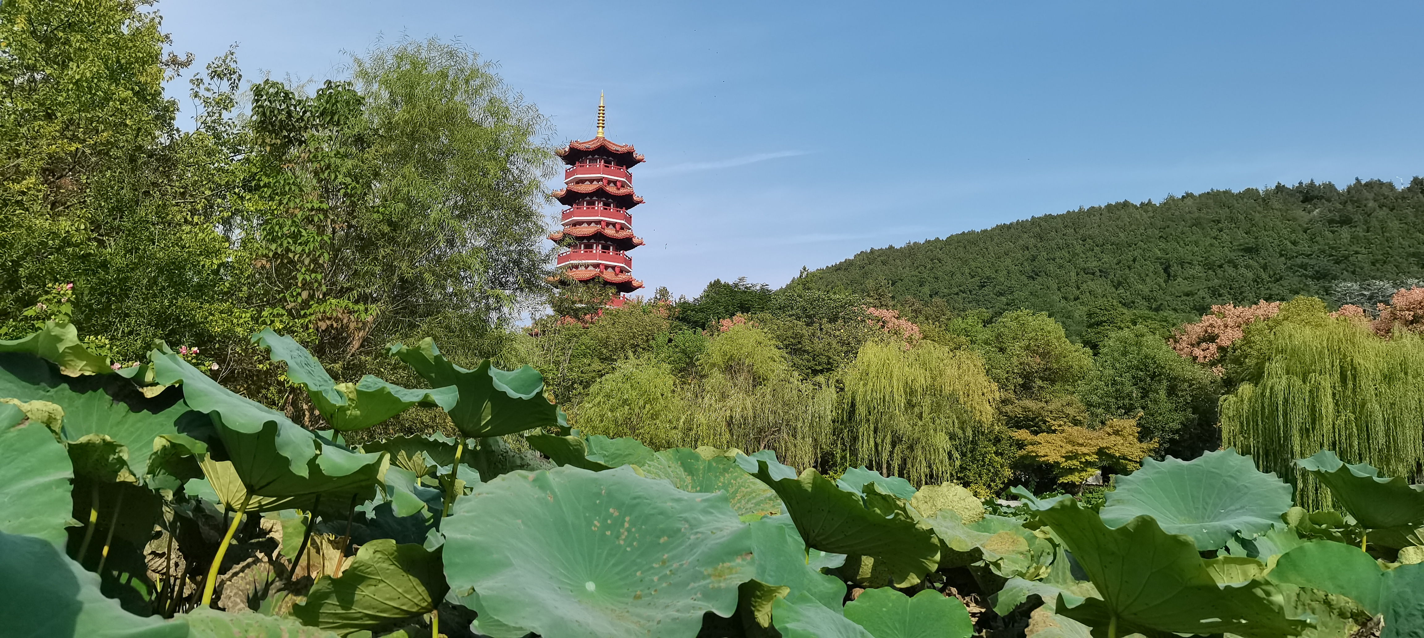 徐州云龙湖景区