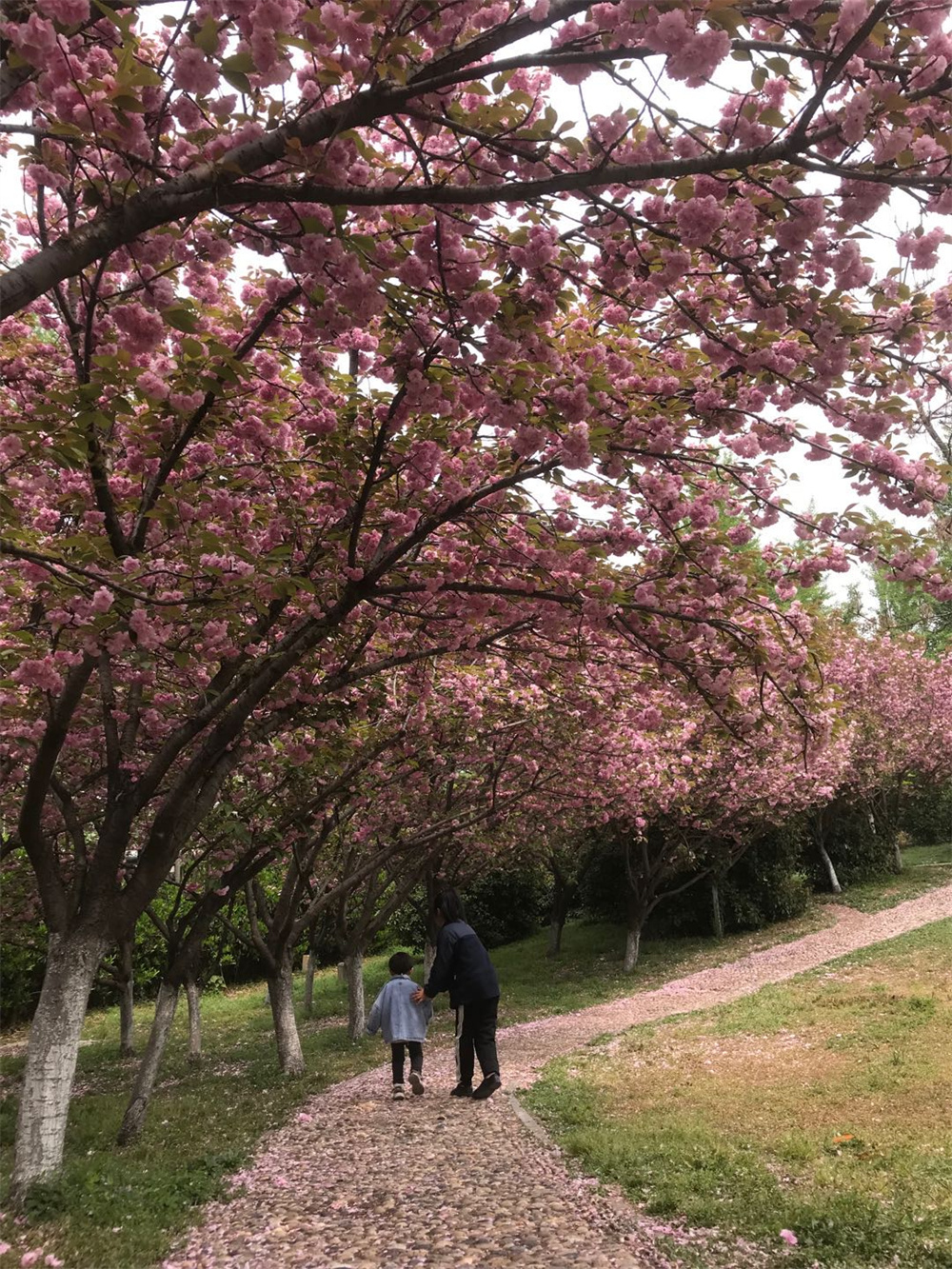 大屯煤电公司颐园