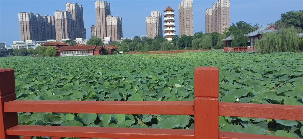 我爱凤鸣公园