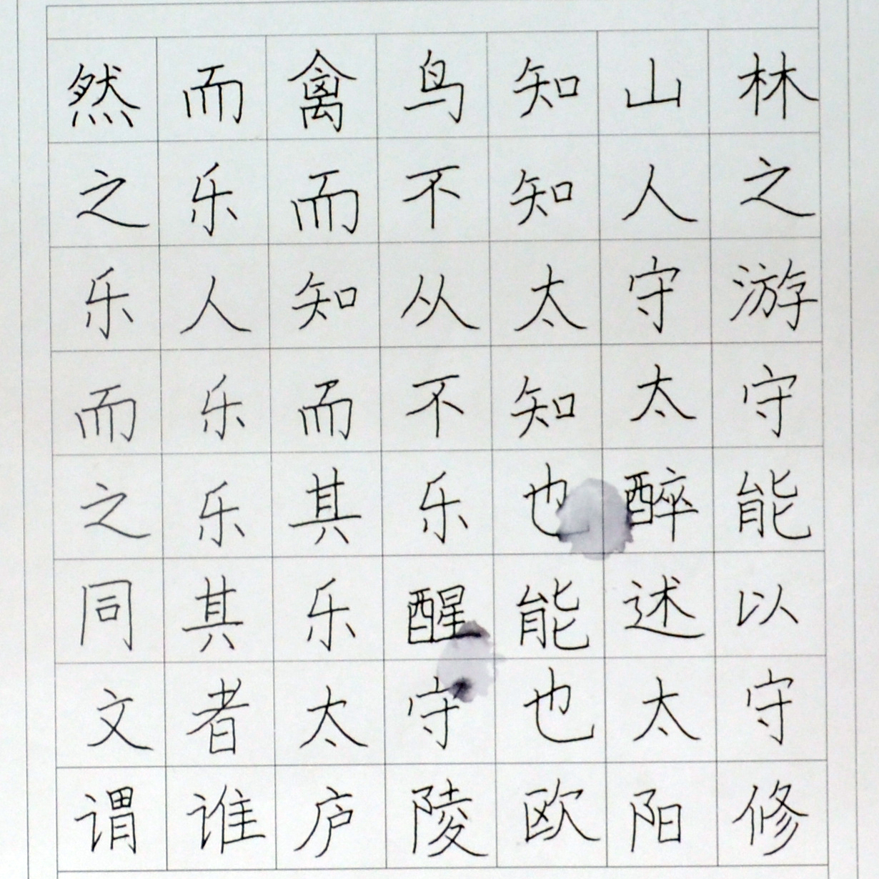 姓名：赵彦煕