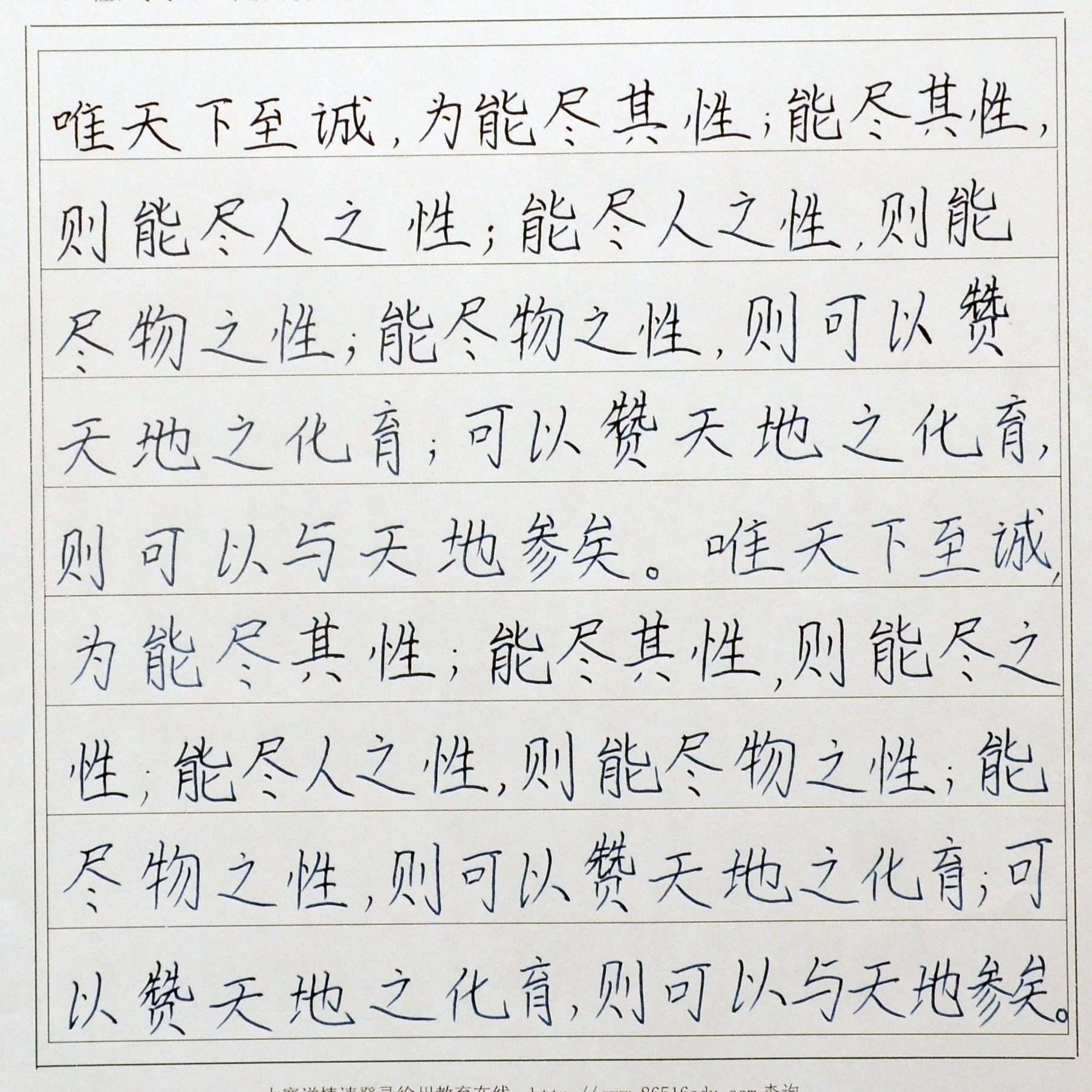 姓名：赵好好