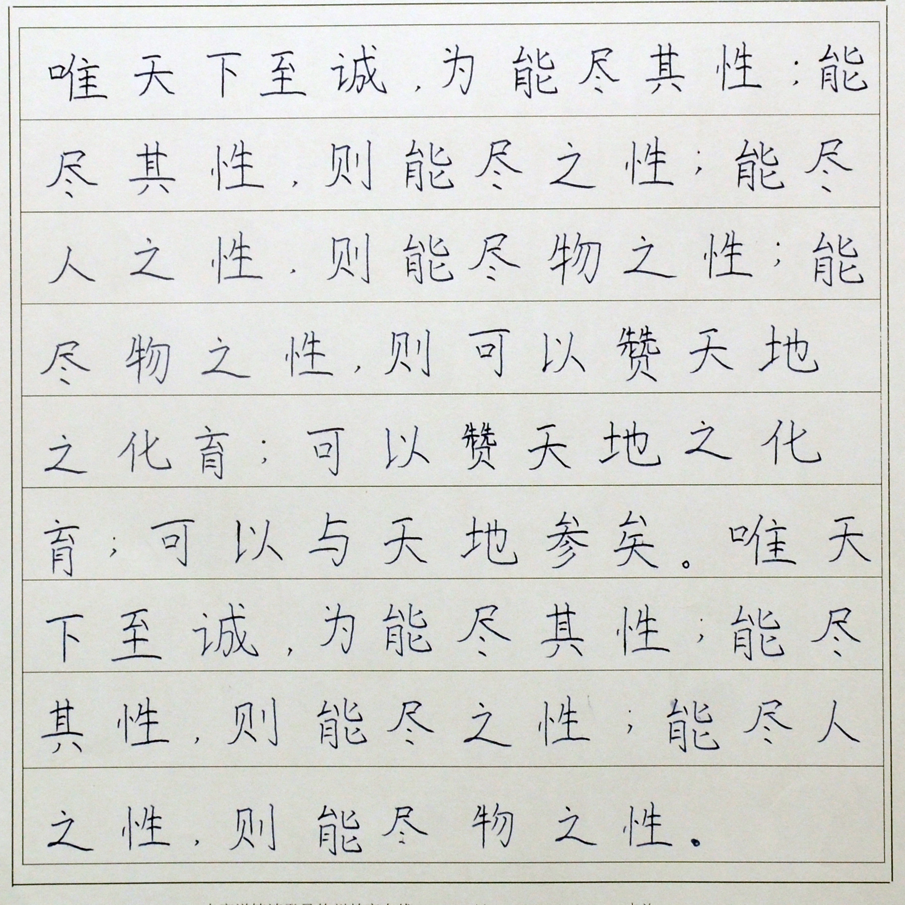 姓名：张歆悦