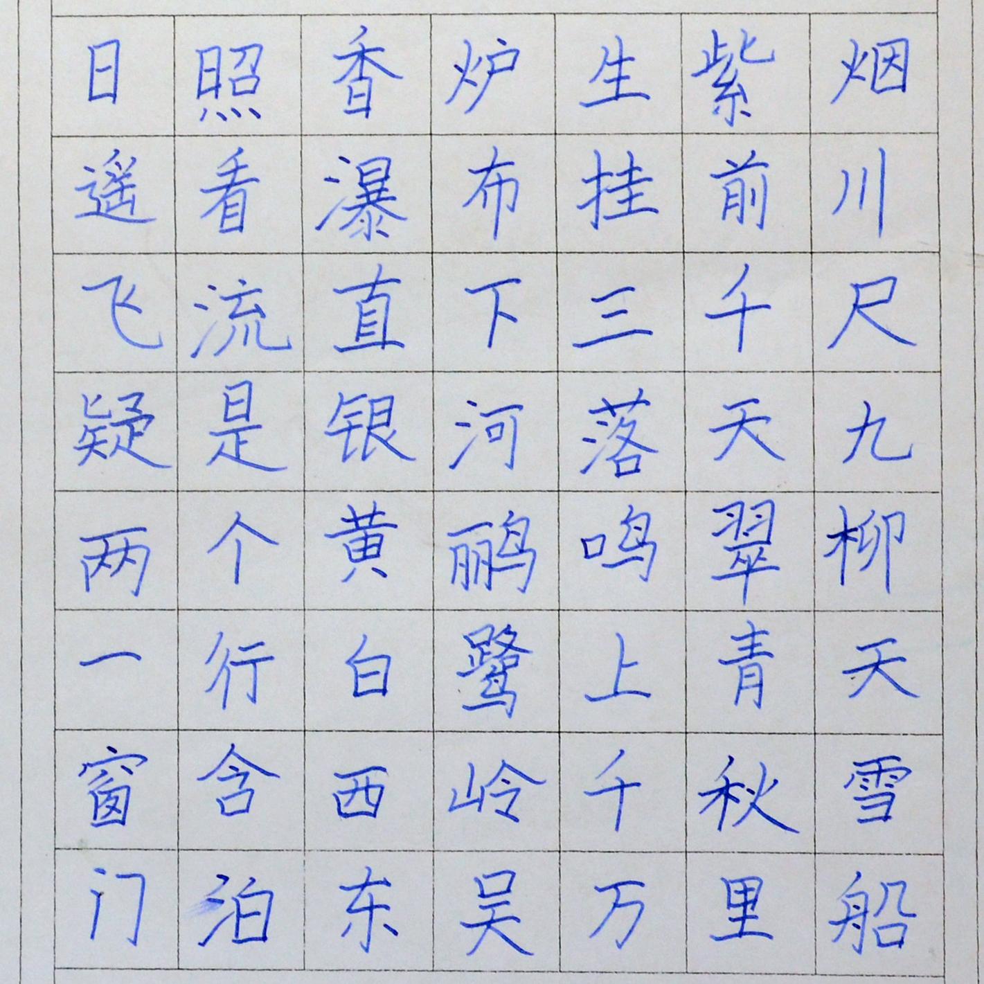 姓名：陆蕾宇