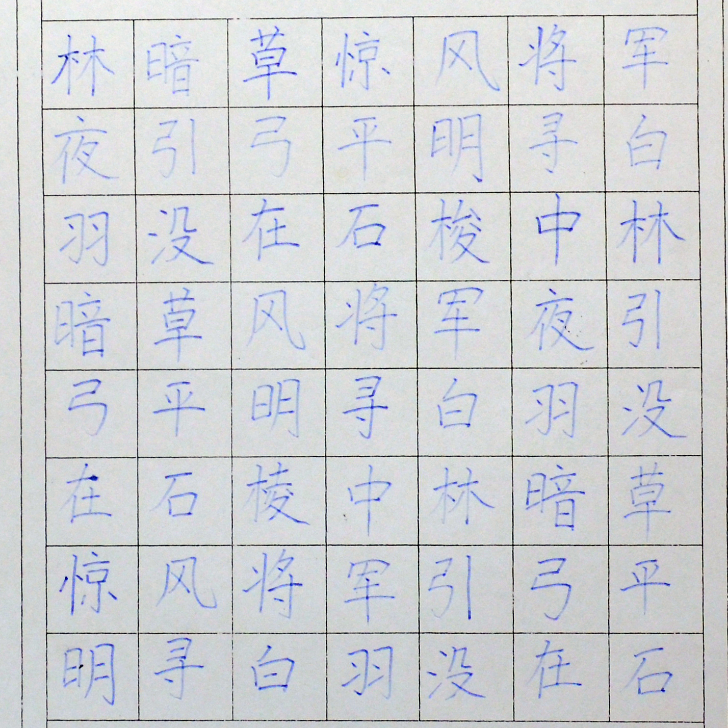 姓名：辛贝贝