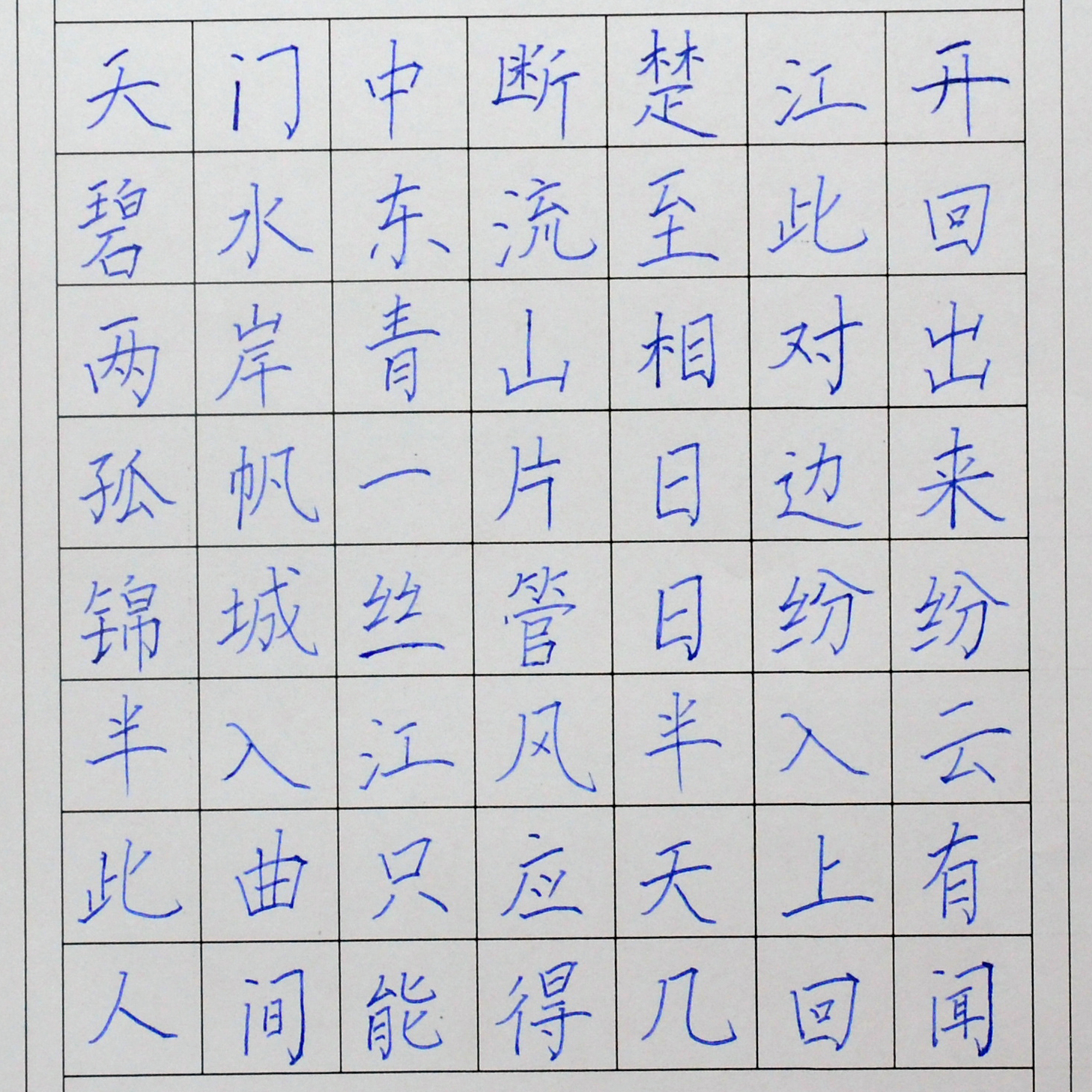 姓名：杨曦