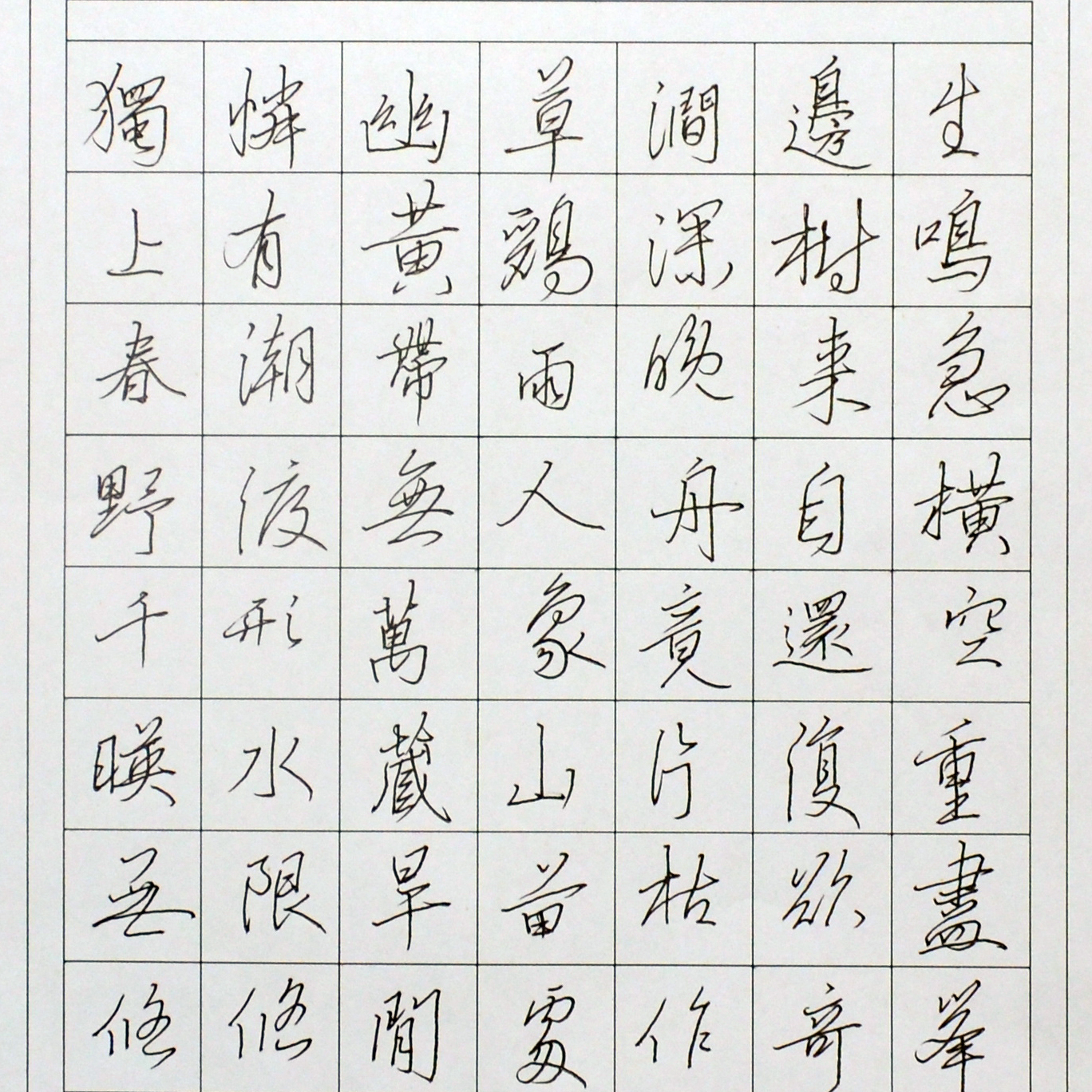 姓名：王雅楠
