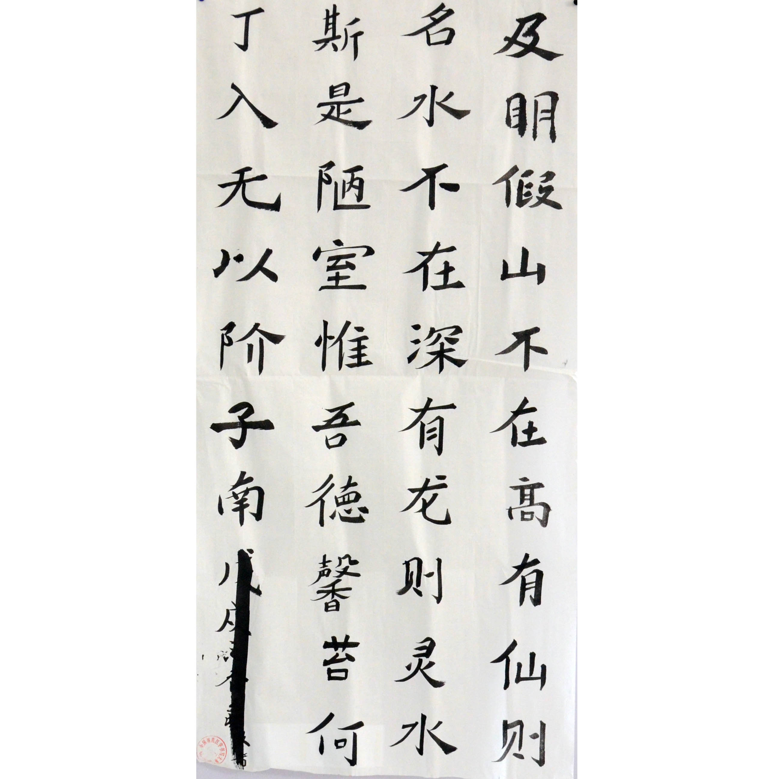 姓名：王紫薇