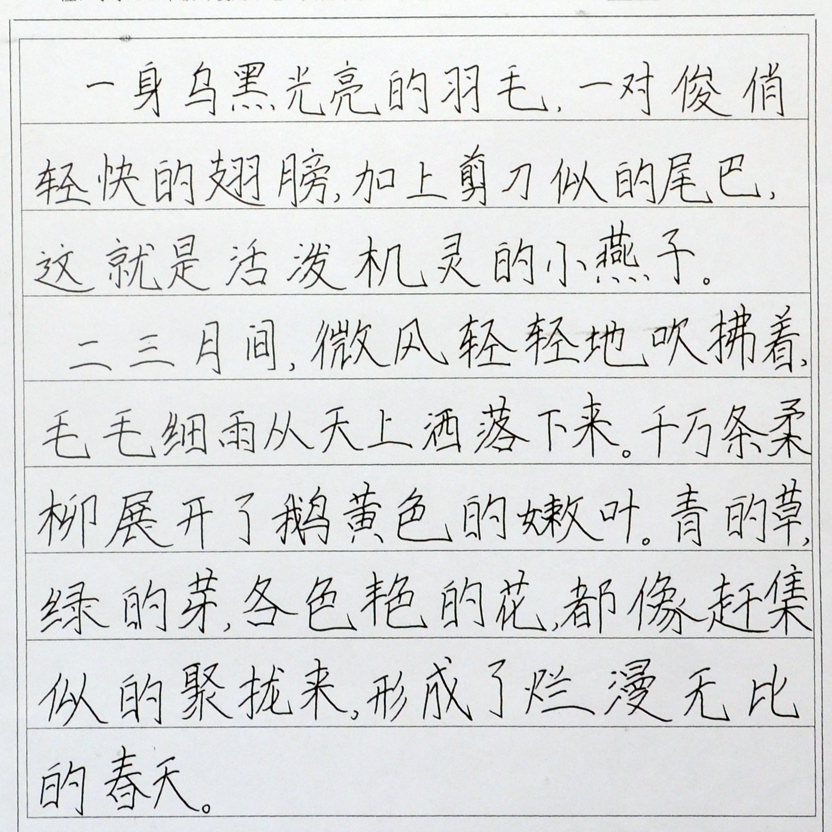 姓名：王展岩