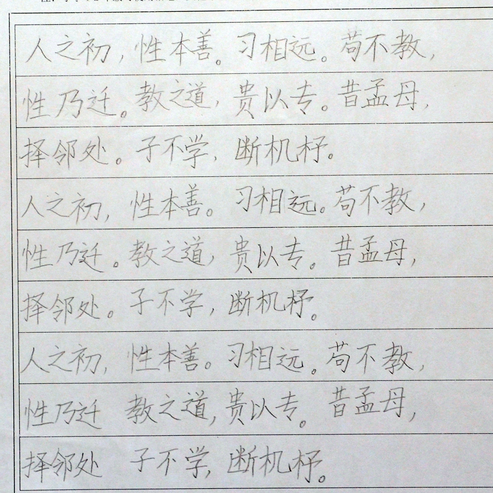 姓名：王梓涵