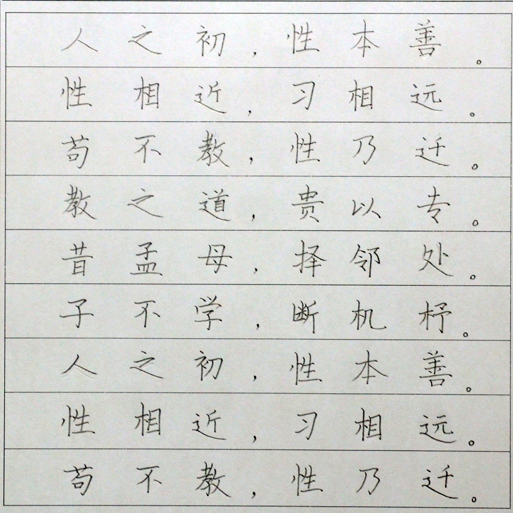 姓名：白晓蕾